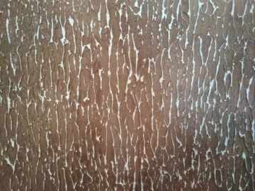 ИП Чижевский О.А. - Фото 2