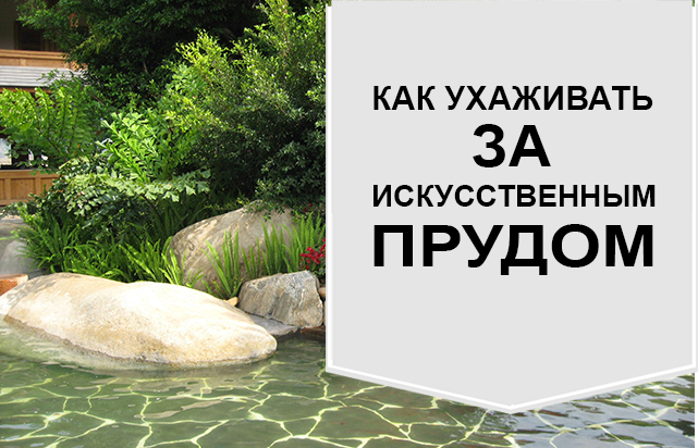 Правила ухода за искусственным прудом